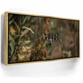 Featured image 7 for Blue Libelula I, California