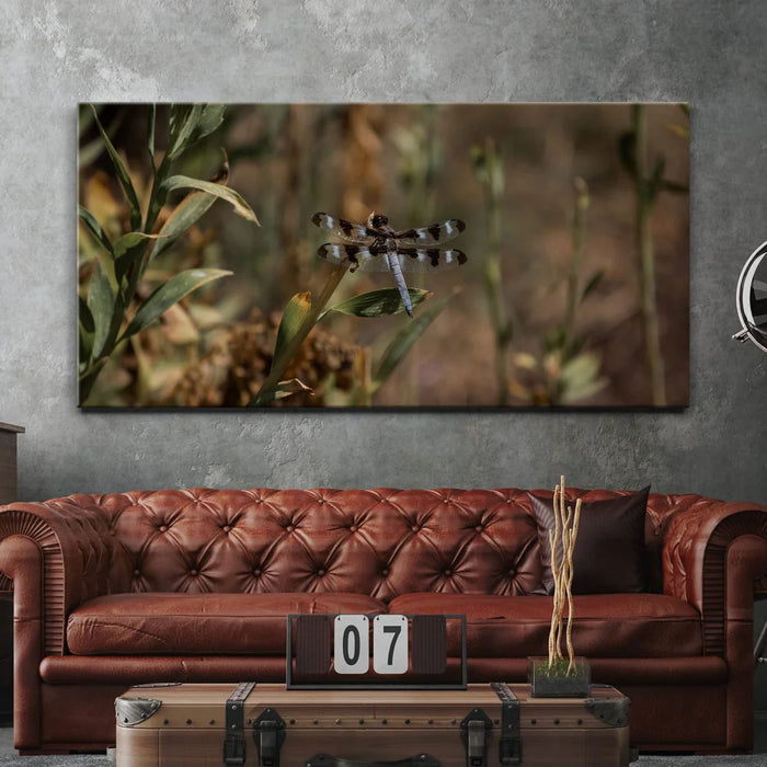 Featured image 2 for Blue Libelula I, California