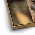 Thumbnail image 12 for Blue Libelula II, California
