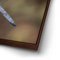Thumbnail image 14 for Blue Libelula II, California
