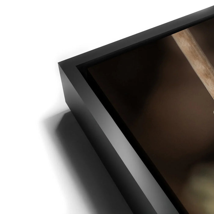 Featured image 12 for Blue Libelula II, California