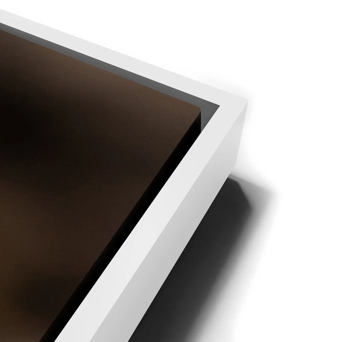 Featured image 14 for Blue Libelula II, California