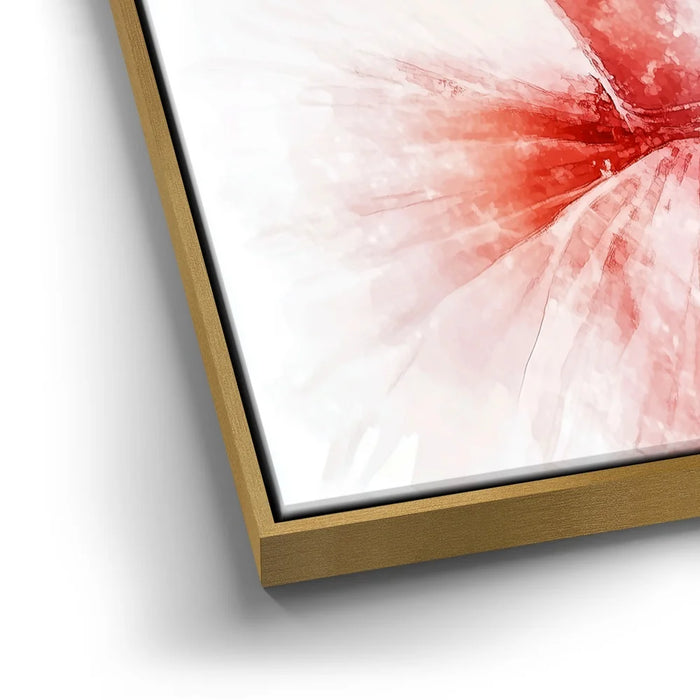 Featured image 13 for Blush Ballet