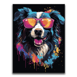 Border Collie Rockstar
