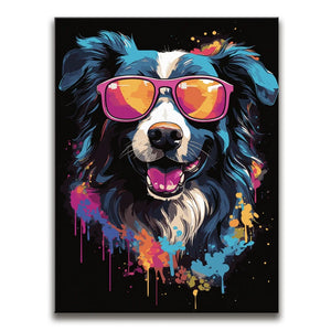 Border Collie Rockstar