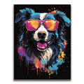 Featured image 1 for Border Collie Rockstar