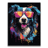 Featured image 1 for Border Collie Rockstar