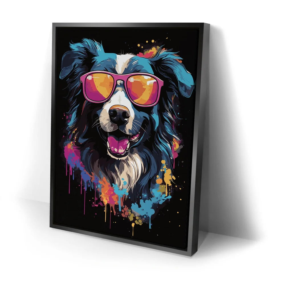 Featured image 2 for Border Collie Rockstar