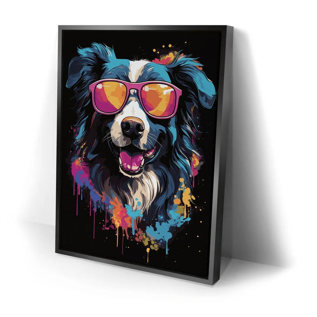 Featured image 2 for Border Collie Rockstar