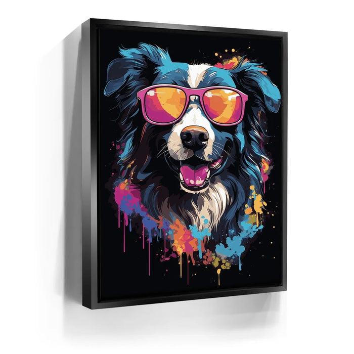 Featured image 6 for Border Collie Rockstar