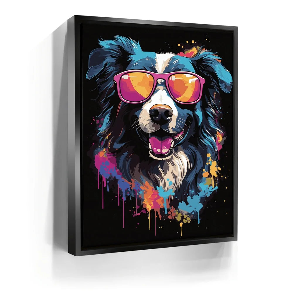 Featured image 5 for Border Collie Rockstar