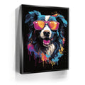 Featured image 5 for Border Collie Rockstar