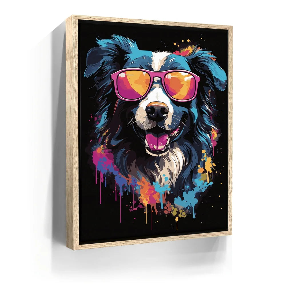 Featured image 9 for Border Collie Rockstar