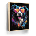 Featured image 9 for Border Collie Rockstar