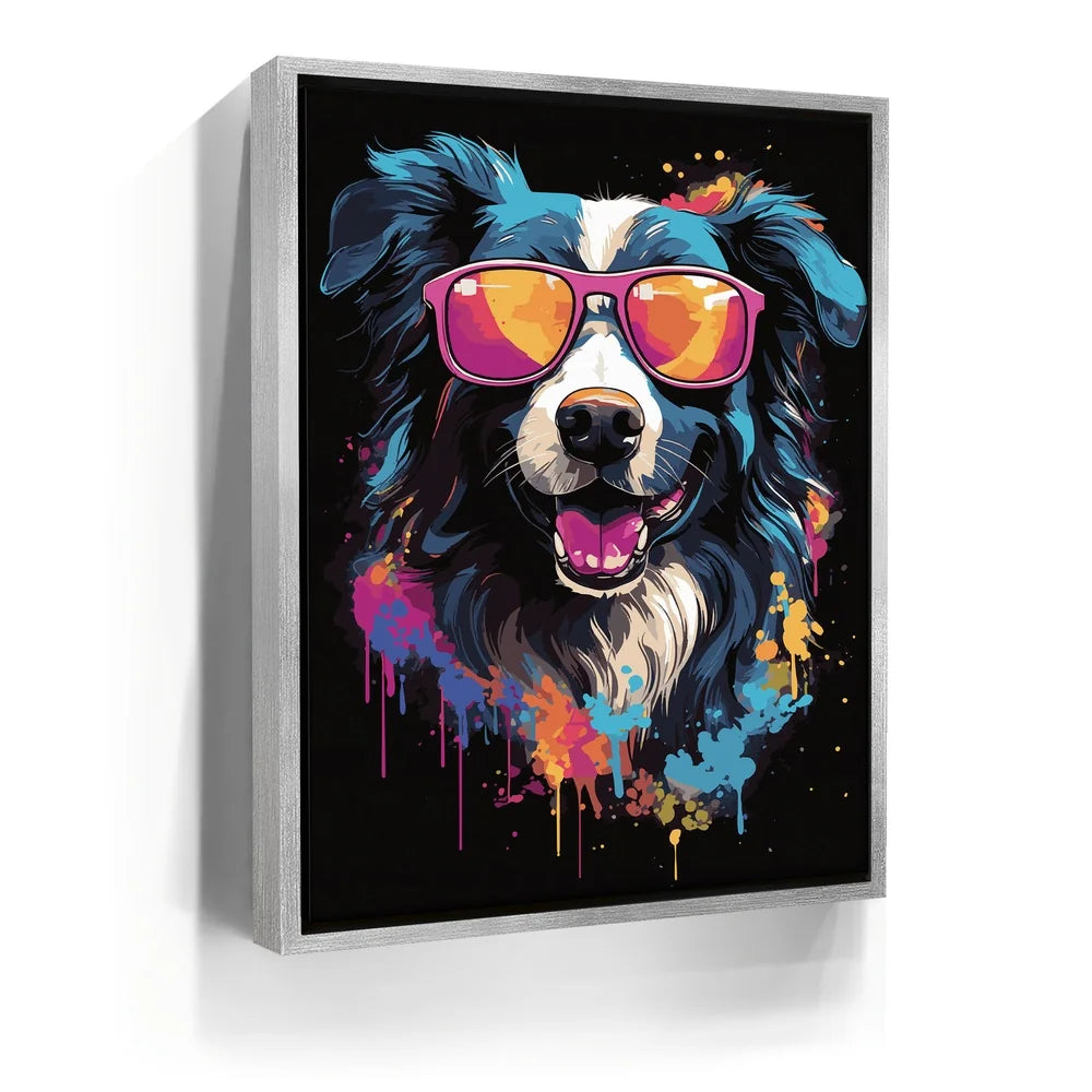 Featured image 8 for Border Collie Rockstar