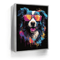 Featured image 8 for Border Collie Rockstar