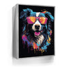 Featured image 9 for Border Collie Rockstar