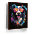 Featured image 10 for Border Collie Rockstar