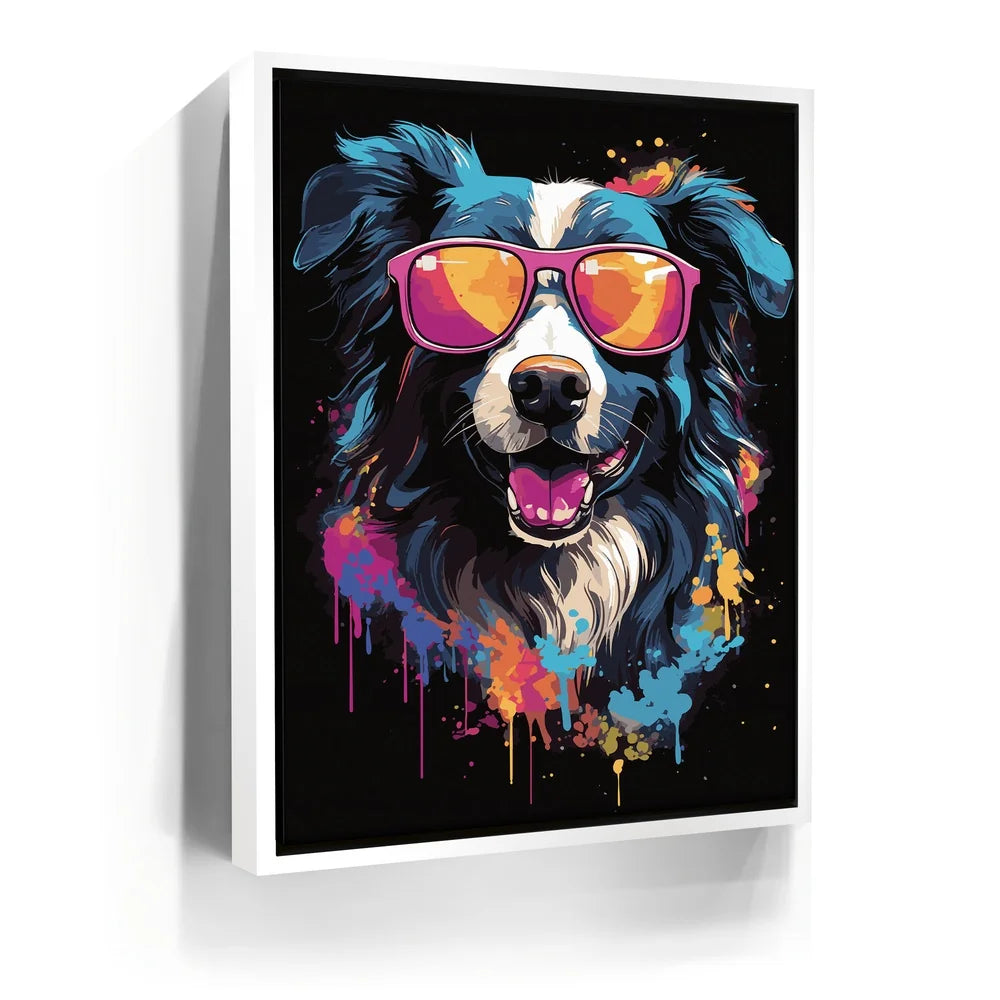 Featured image 6 for Border Collie Rockstar