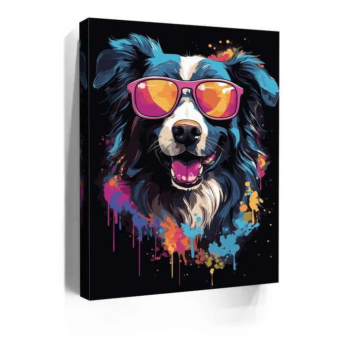 Featured image 5 for Border Collie Rockstar