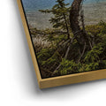 Thumbnail image 12 for Bow Lake Banff National Park, Canada
