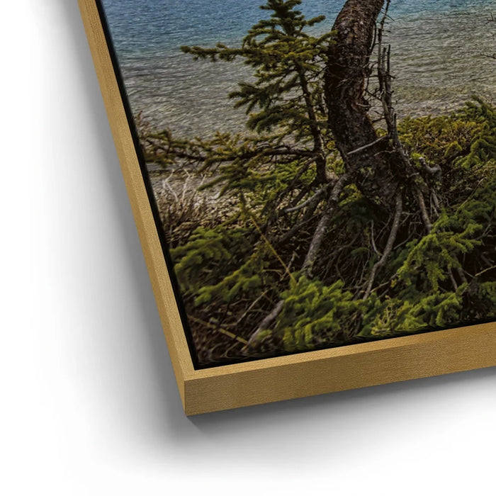 Featured image 12 for Bow Lake Banff National Park, Canada