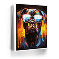 Featured image 6 for Boxer Rockstar