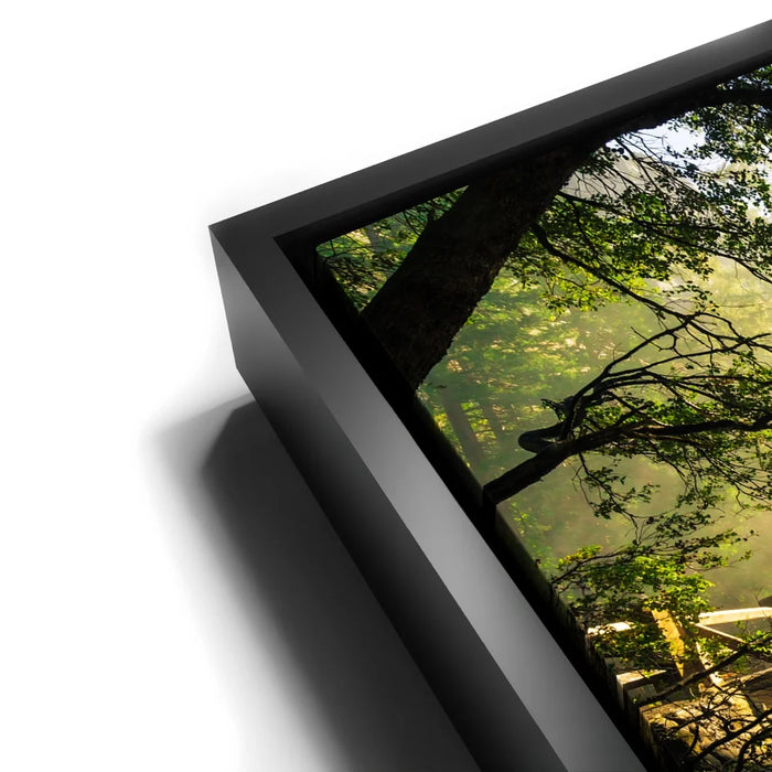 Featured image 12 for Breakthrough