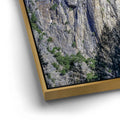 Thumbnail image 12 for Bridalveil Fall Morning Light