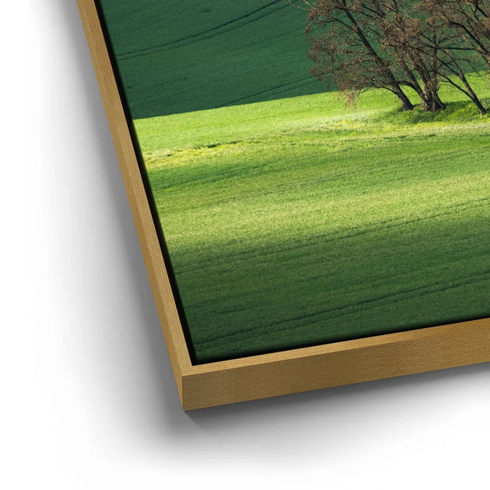 Featured image 12 for Brushstrokes of Spring