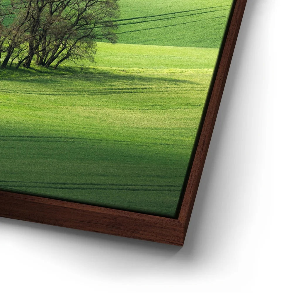 Featured image 14 for Brushstrokes of Spring