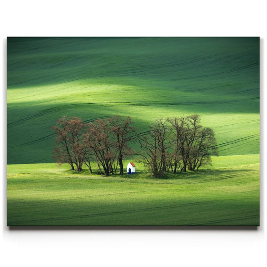 Brushstrokes of Spring