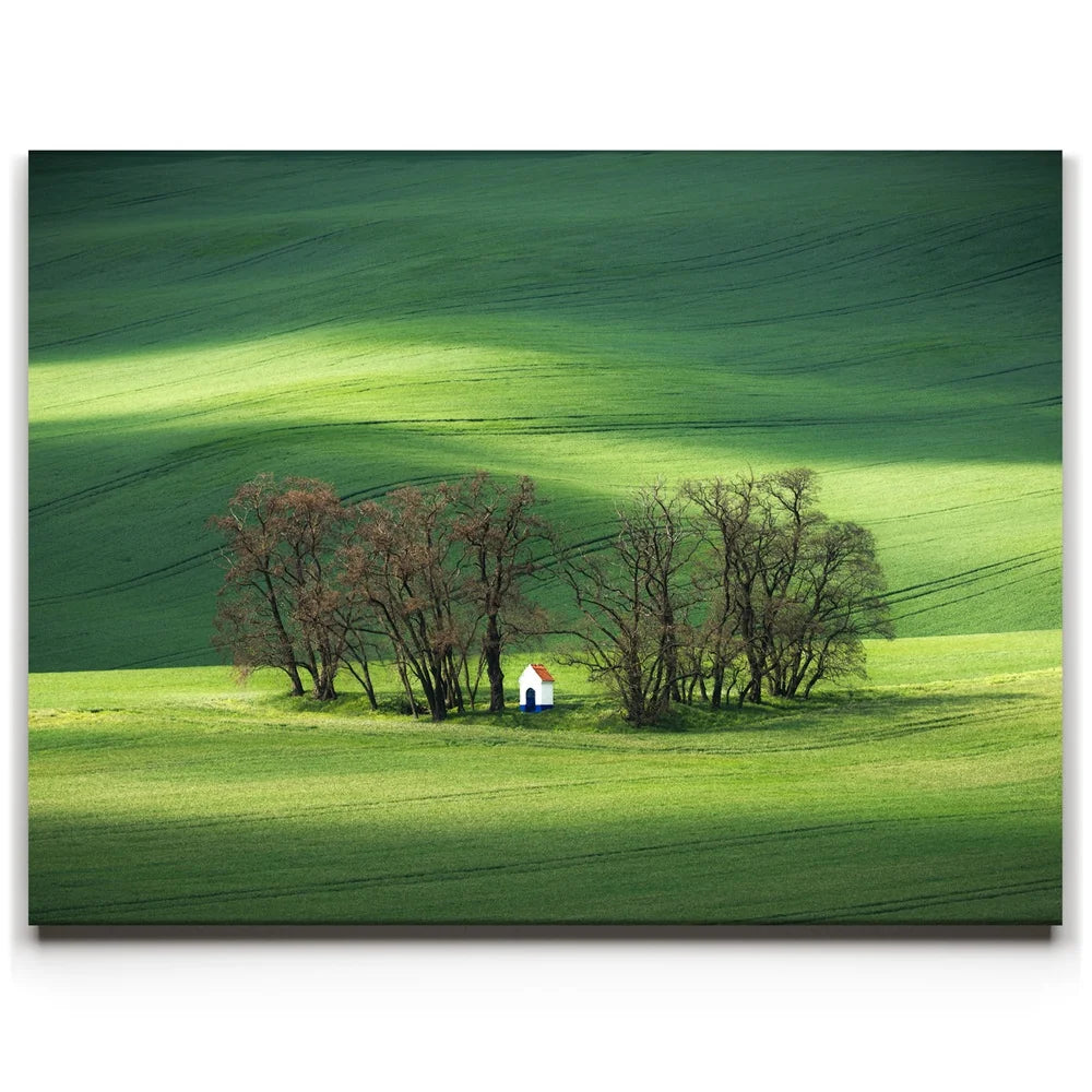 Featured image 1 for Brushstrokes of Spring