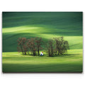 Featured image 1 for Brushstrokes of Spring