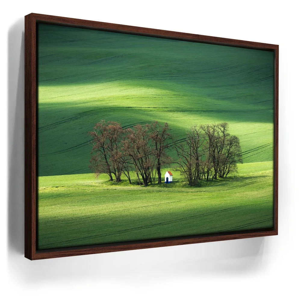 Featured image 10 for Brushstrokes of Spring