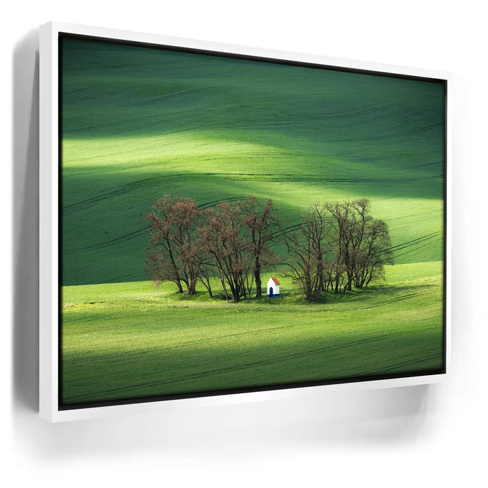 Featured image 6 for Brushstrokes of Spring