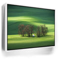 Featured image 6 for Brushstrokes of Spring