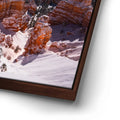 Thumbnail image 14 for Bryce Canyon - Bryce Canyon, Utah
