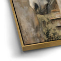 Thumbnail image 13 for Cabin & Canter