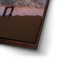 Thumbnail image 15 for California Coast - Santa Cruz, California