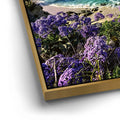 Thumbnail image 12 for California Coast La Jolla Bay