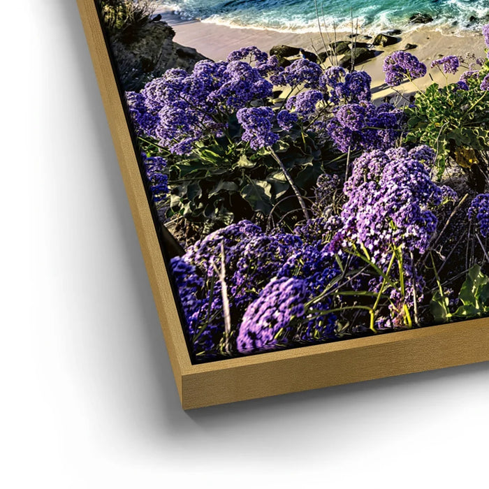 Featured image 12 for California Coast La Jolla Bay