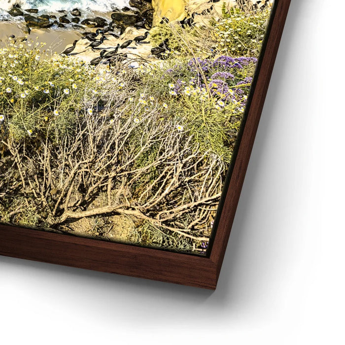 Featured image 14 for California Coast La Jolla Bay