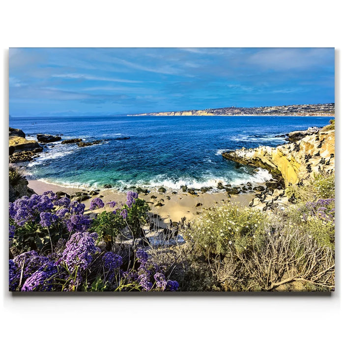 Featured image 1 for California Coast La Jolla Bay