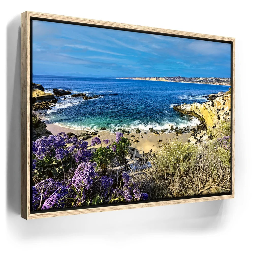 Featured image 9 for California Coast La Jolla Bay