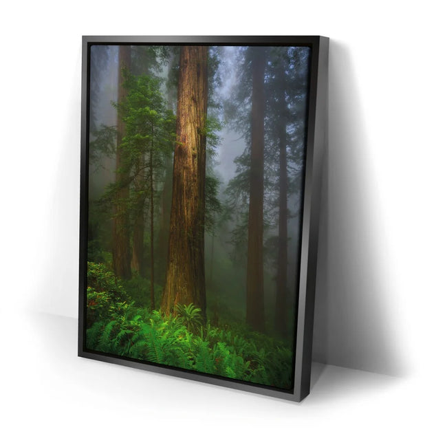 Featured image 2 for California Redwoods