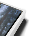 Thumbnail image 13 for California Redwoods