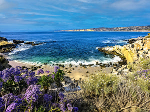 Alan Crosthwaite featured image 4