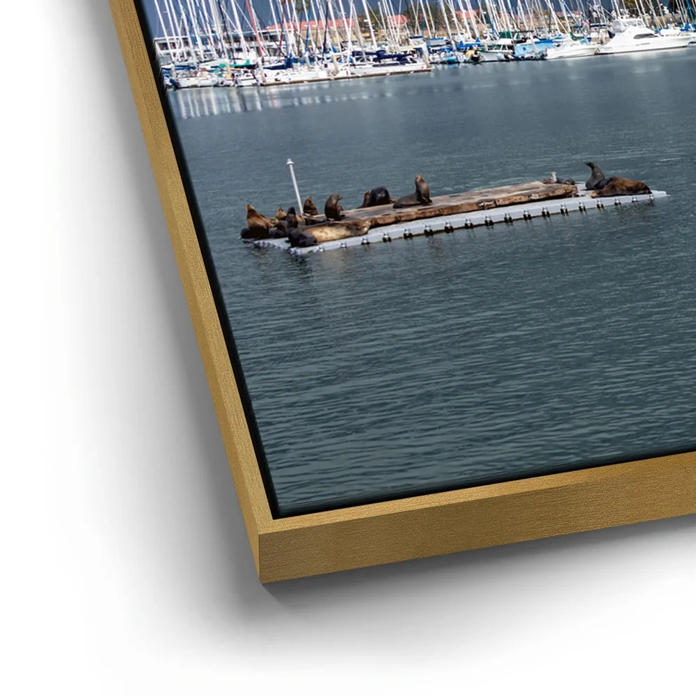 Featured image 12 for Calm Harbor Storm
