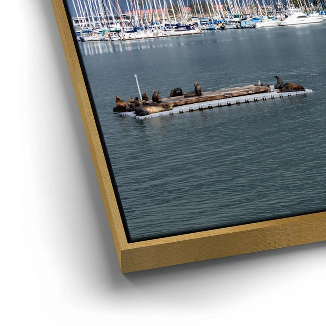 Featured image 12 for Calm Harbor Storm